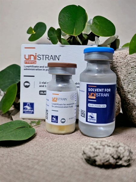 Vaccine Hipra Unistrain PRRS -Tai xanh 10 Liều - Lọ - Ảnh 4