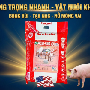CAO LONG PROTID SUPER MIX 1kg - Thùng 20kg