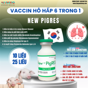 Alternative view of Vaccine Tigervet New Pigres - Phổi 6 bệnh - 10 liều - Lọ 10 liều