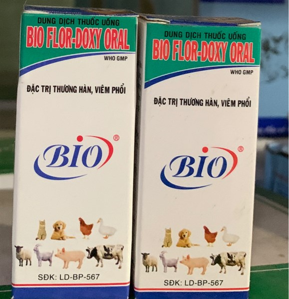 Bio Flor Doxy Oral (Oral) 10ml - Thương Hàn, Viêm Phổi - Lọ - Ảnh 2