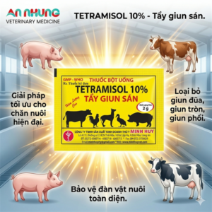 Minh Huy Tetramisol 10% 2gr ( Tẩy giun) - Bịch 100 gói
