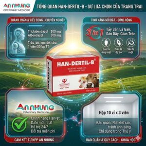 Alternative view of HANDEXRTIL B (viên 50kg thể trọng) - Hộp 30 viên