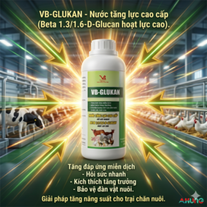 VB GLUCAN - Nước tăng lực, Beta 1,3/1,6‐D - 1 lít - Can