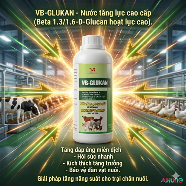 VB GLUCAN - Nước tăng lực, Beta 1,3/1,6‐D - 1 lít - Can