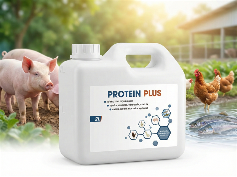 AGRI PROTEIN 2 LÍT/CAN - Thùng 6 Can - Ảnh 2