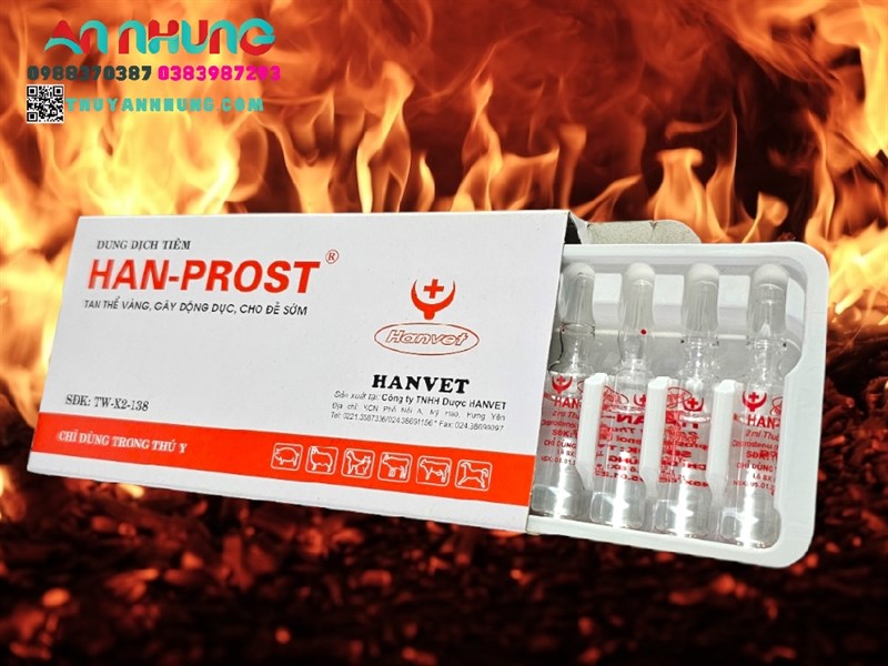 HAN PROST - Tan thể vàng, gây động dục, cho đẻ sớm - Lọ 5ml - Ảnh 5