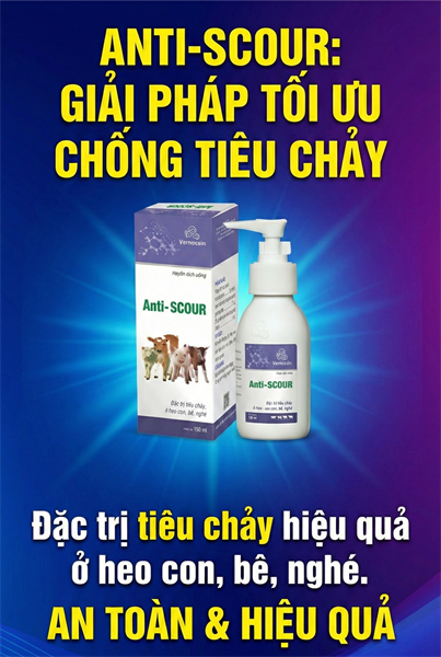 VMD Anti Scour 60ml Oral (Spectinomycine + Colistin) - chai 60ml