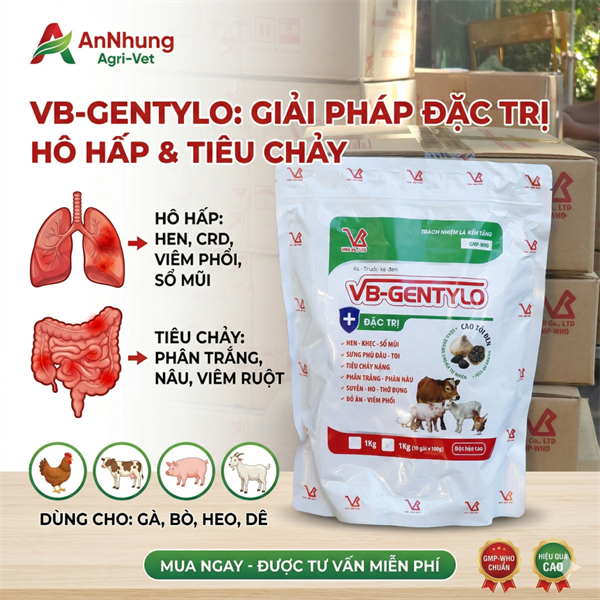 VB - GENTATYLO 1kg - Cao tỏi đen, đông trùng hạ thảo - Gói (10in1) - Ảnh 4