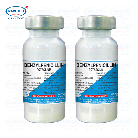 Navetco Peniciciline 1tr UI - Thùng 12 hộp - Ảnh 2