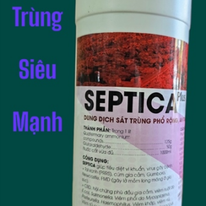 Alternative view of AGRI SEPTICA 1 lít - CAN 1 LÍT