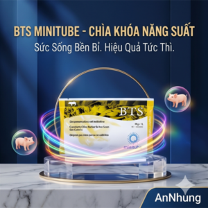 Môi trường pha tinh - Gói