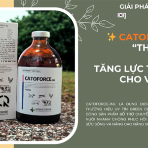Alternative view of SISTAR CATOFORCE 100ml - chai