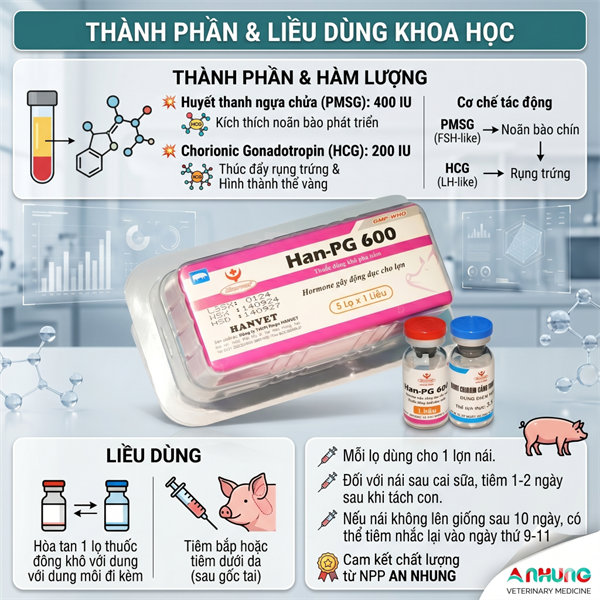 Hanvet PG600 1 LIỀU - Ảnh 4