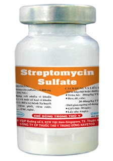Navetco Streptomycin Sulfate 1gr - Hộp 50 lọ - Ảnh 2