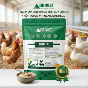 AGRI BIOTIN 1kg - Cắn mổ, mọc lông, nứt móng - Gói 10in1