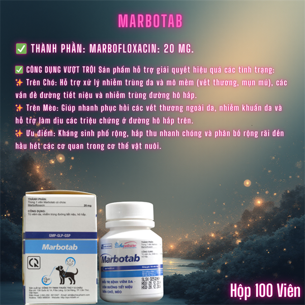 Á Châu Marbo Tab (Viêm da, viêm đường tiết niệu Pet ) - Hộp 100 viên - Ảnh 5