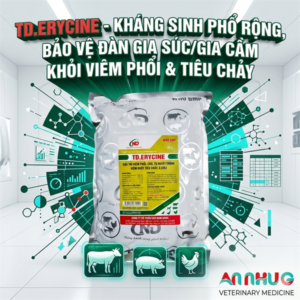 ND ERYCINE 100gr - CRD, Phổi, Tụ Huyết Trùng, Ecoli - gói