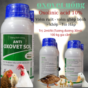 Sagophar Anti - Oxovet Sol - Viêm ruột, viêm khớp, Viêm hô hấp , úm gia cầm(Xanh) - Chai