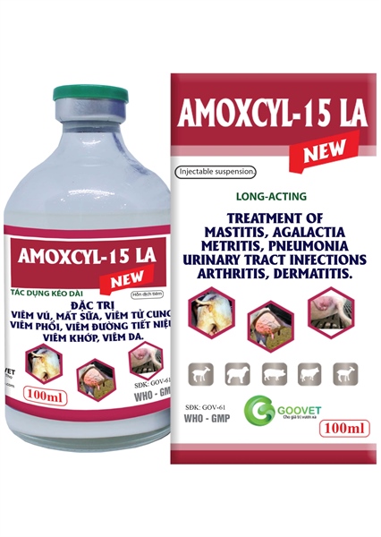GOOVET AMOXYL 15% LA - Lọ 100ml - Ảnh 2
