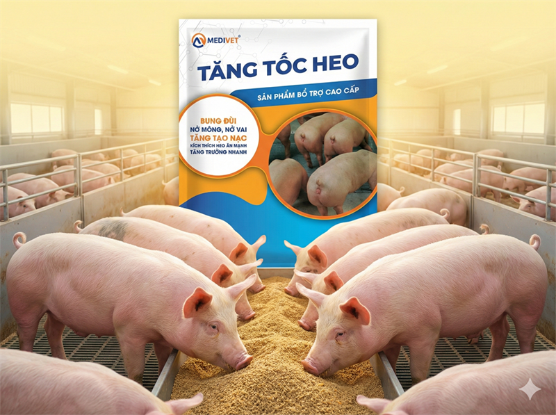 AGRI TĂNG TỐC HEO 1kg - Gói 10in1