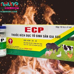 Minh Huy ECP (Estradiol) 4ml - Hộp 10 lọ