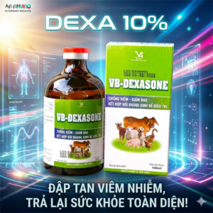 VB DEXASONE 100ML - chai/100ml