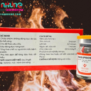 HAN PROST - Tan thể vàng, gây động dục, cho đẻ sớm - Lọ 5ml