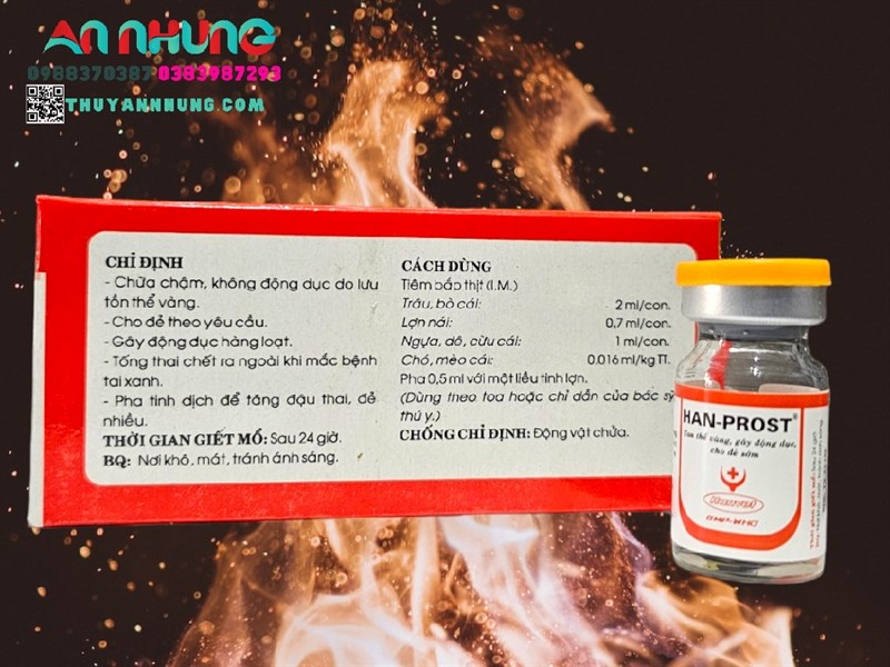 HAN PROST - Tan thể vàng, gây động dục, cho đẻ sớm - Lọ 5ml