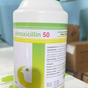Alternative view of CV Rx AMOXICILLIN 50 - 1kg xá - Jordan Vet. & Agr.Med.Ind.Co. - Lon