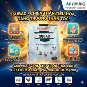 Á CHÂU SUBAC - MEN TIÊU HÓA CAO CẤP - 1kg - Gói 1Kg