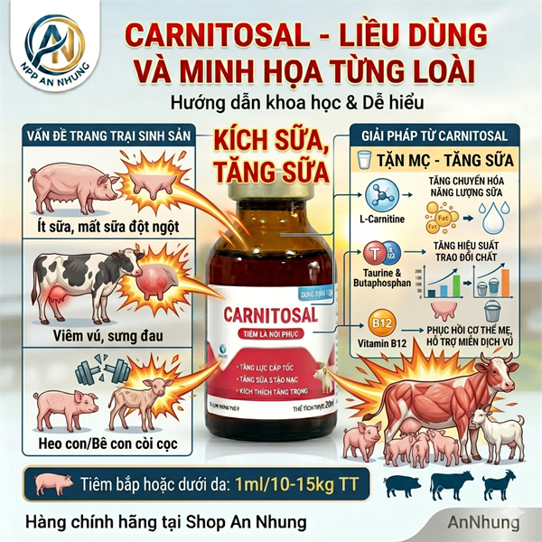 VIA CARNITOSAL - Tăng lực, Phục hồi, Kích sữa, Tạo Nạc - Lọ 100ml - Ảnh 4