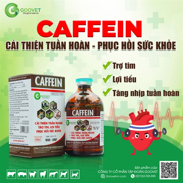GOOVET CAFEIN 100ml - Lọ - Ảnh 3
