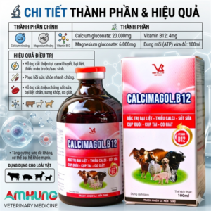 Alternative view of VB CALCIMAGOL B12 (CA MG B12) 100ml - chai 100ml