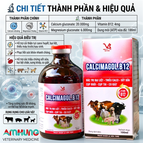 VB CALCIMAGOL B12 (CA MG B12) 100ml - chai 100ml - Ảnh 2