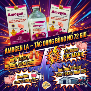 LIKE AMOGEN LA - 72H - Chai 100ml