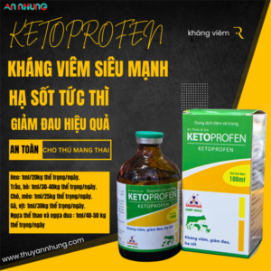 SAGOPHAR KETOPROFEN 10% (hàm lượng cao) 100ml - chai 100ml