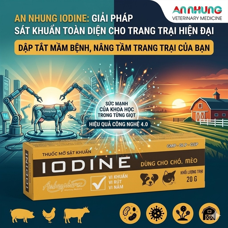Á Châu IODINE (mỡ bôi) - sát trùng vết thương, trị nấm - Tuýp 20gr - Ảnh 5