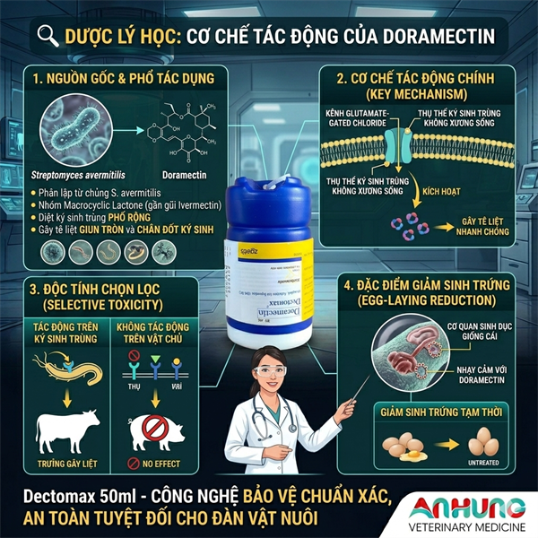 ZOETIS Doramectin- Dectomax Mỹ (50ml) - Hỗ Trợ Loại Bỏ Ve, Ghẻ, Giun Tròn, Dòi - Cho Heo, Trâu, Bò, chó mèo. - Lọ - Ảnh 3