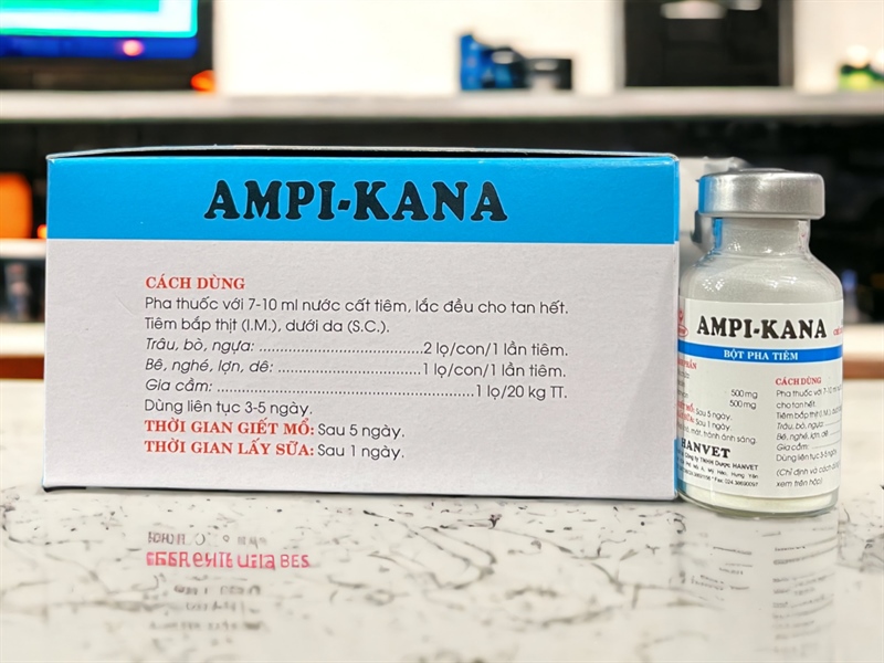 Hanvet Kana Ampi 1gr - Hộp 20 lọ - Ảnh 3