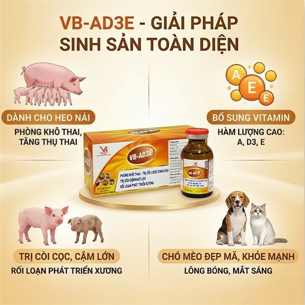 Vb Ad3e - Lọ 20ml - Ảnh 5