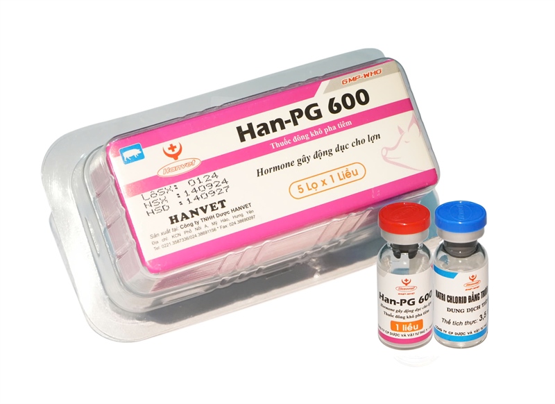 Hanvet PG600 1 LIỀU - Ảnh 2