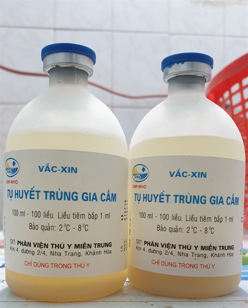 Vaccine Phân Viện - Tụ Huyết Trùng Gia Cầm 100 liều - Lọ 100 liều - Ảnh 2