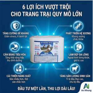 Đá liếm REVA MINERAL BLOCK (Vuông Trắng) - viên 5kg - Thổ Nhĩ Kỳ - Thùng 4 viên