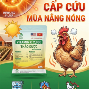 SUMI VITAMIN C 20% 1Kg - Gói 10in1