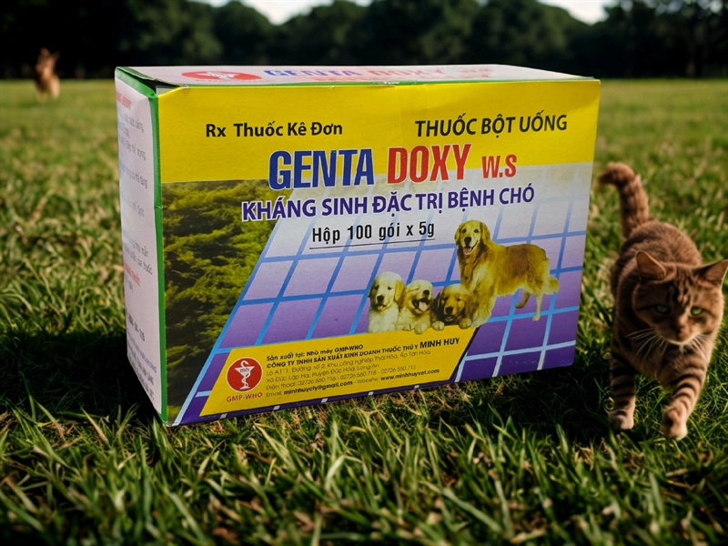Minh Huy Genta Chó 5gr - Thùng 10 hộp