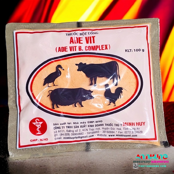 Minh Huy ADE VIT BCOMPLEX 100gr - gói/100g - Ảnh 3