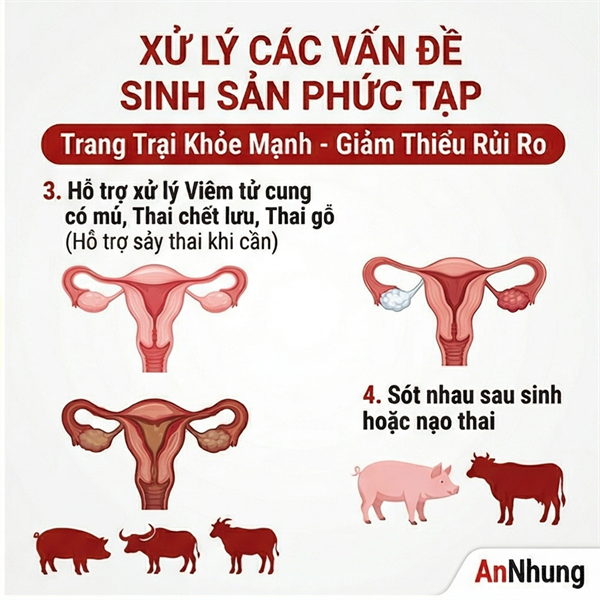 ND ESTROL 6ml - Cloprostenol - Hộp 2 lọ - Ảnh 5