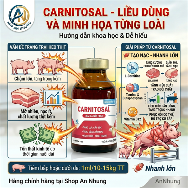 VIA CARNITOSAL - Tăng lực, Phục hồi, Kích sữa, Tạo Nạc - Lọ 100ml - Ảnh 5