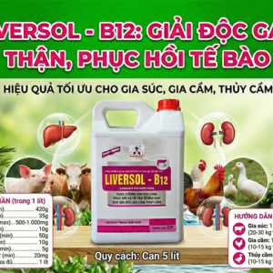 SAGOPHAR LIVERSOL B12 5 Lít - Can