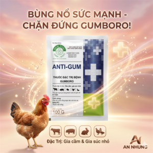 Alternative view of NThái Anti Gum-Para 20% + Neomycin - Bịch 50 gói